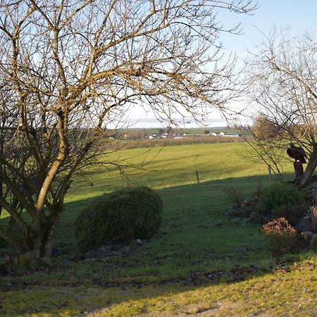 Gite Du Cheval Blanc Sainte-Ode Exterior foto