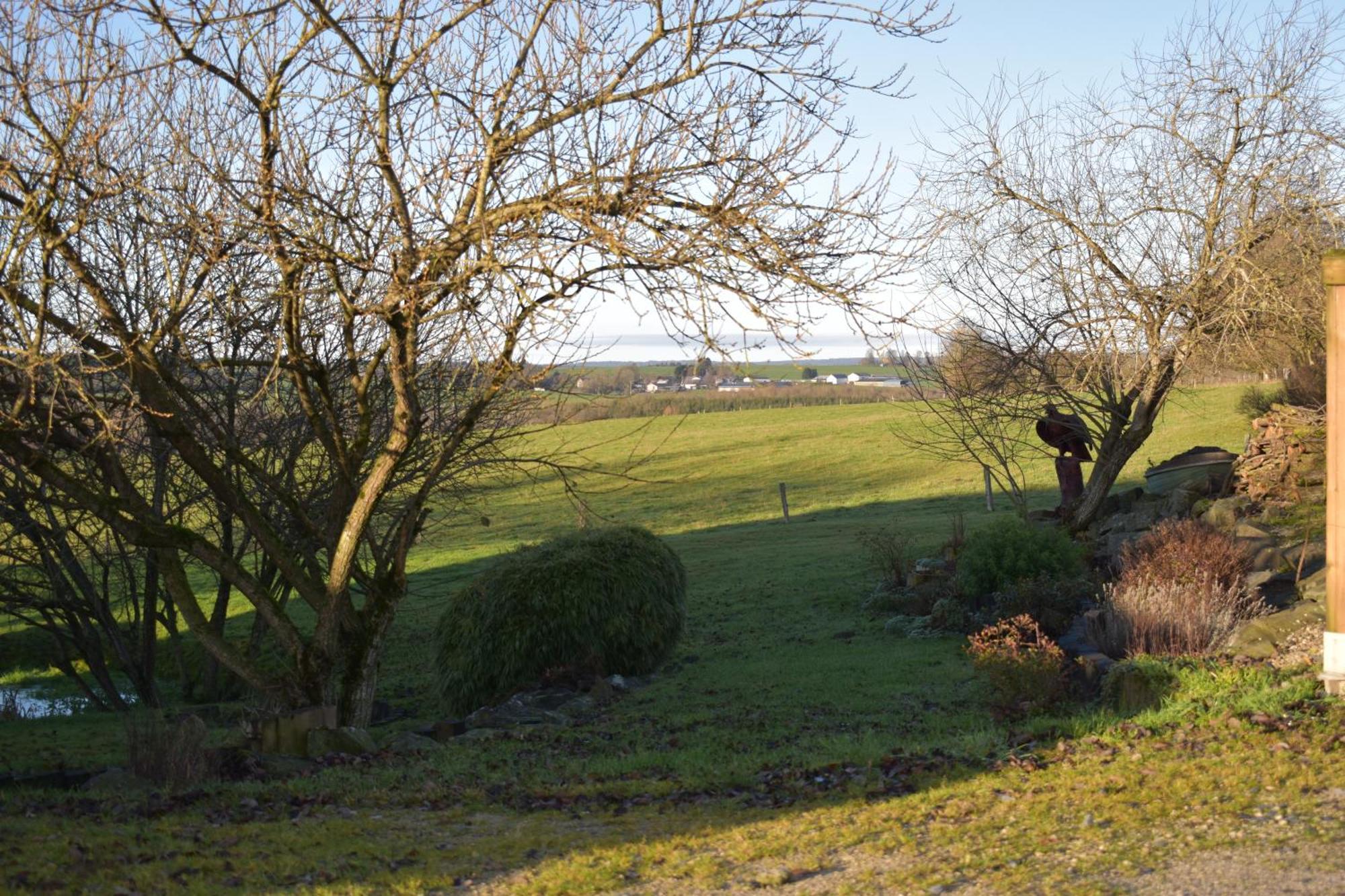 Gite Du Cheval Blanc Sainte-Ode Exterior foto